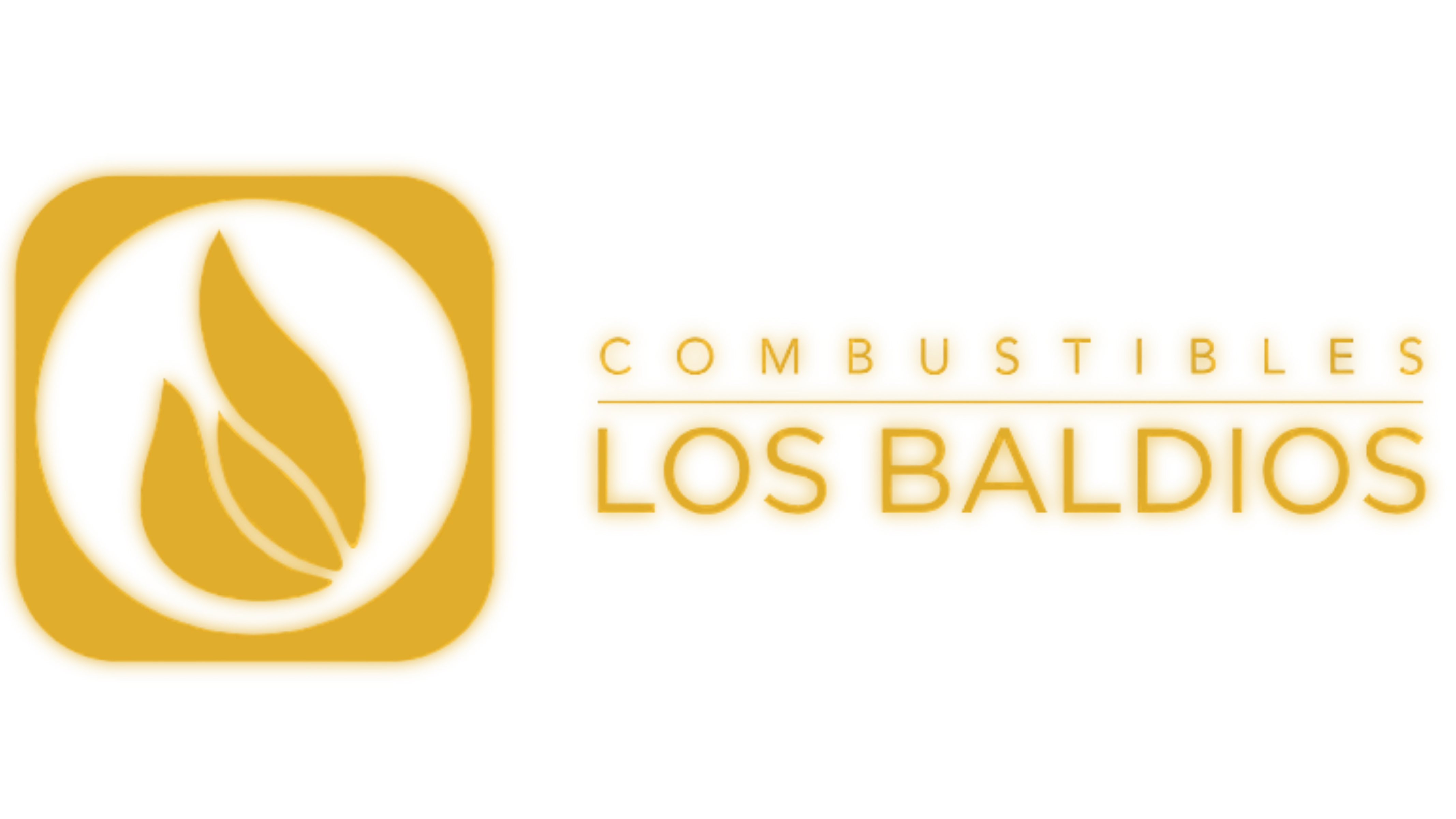 Logo Combustibles Los Baldíos